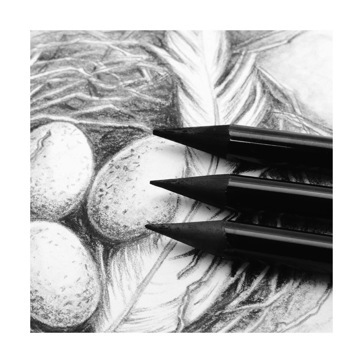 Mont Marte Woodless Charcoal Pencils 3pce image 2